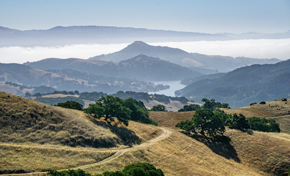View of golden hills and oak trees with trail, with blue hills stretching into distance and reservoir in the distance