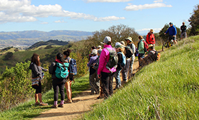 Group of 15 hikers in colorful clothing taking in the view of Coyote Valley and green hills