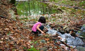 Young girl in pink shirt crouching next to forest creek with fallen leaves