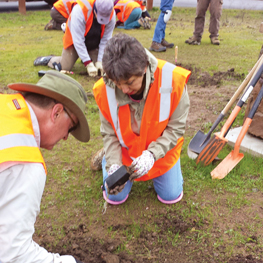 Group of volunteers in orange safety vests planting seedlings