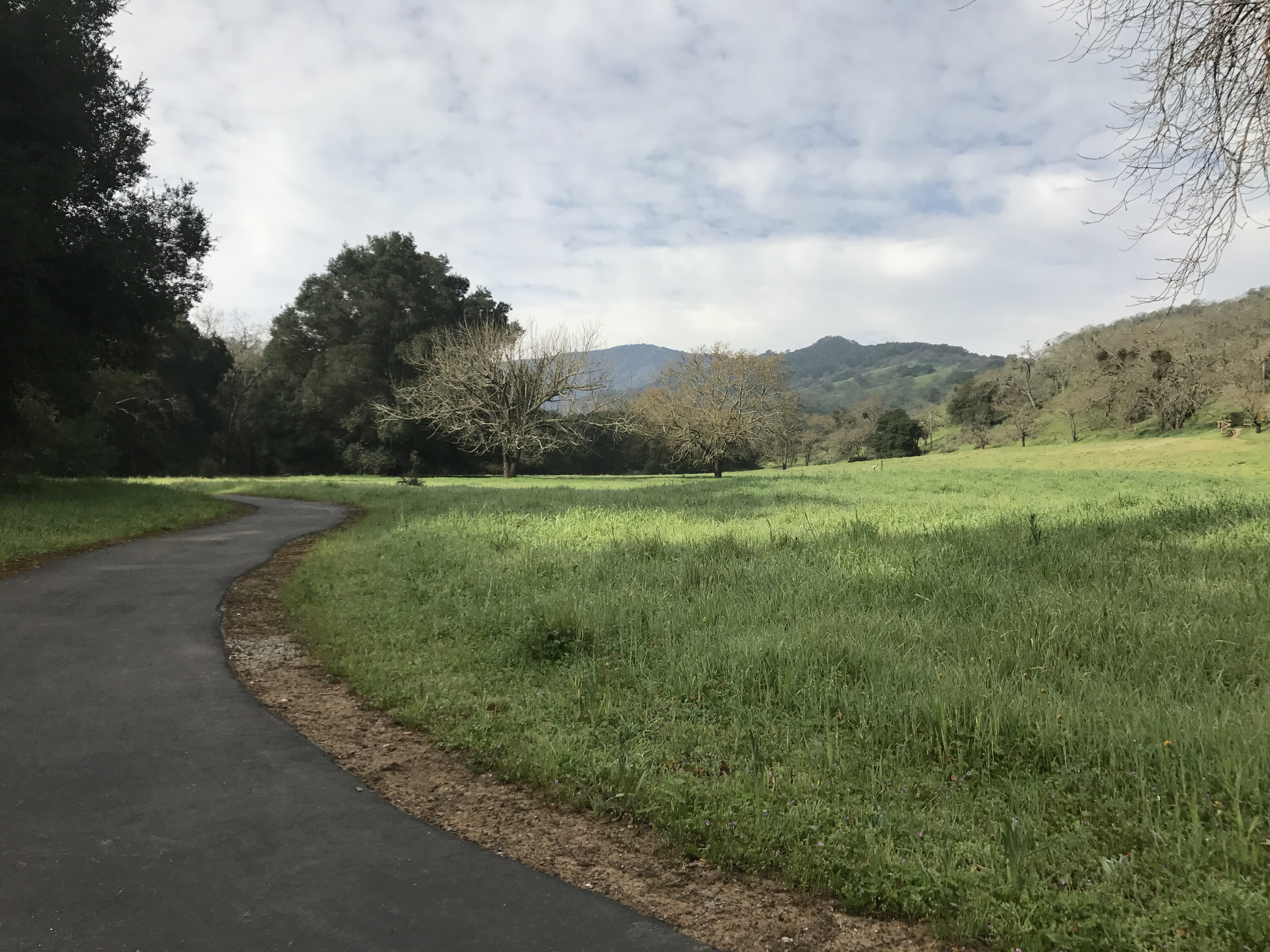 Paved, flat trail through a green field with hills and trees in distance