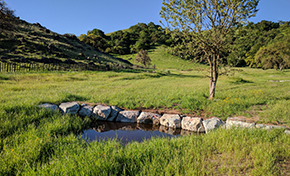 Small pond lined with gray rocks in a green meadow with hills in background