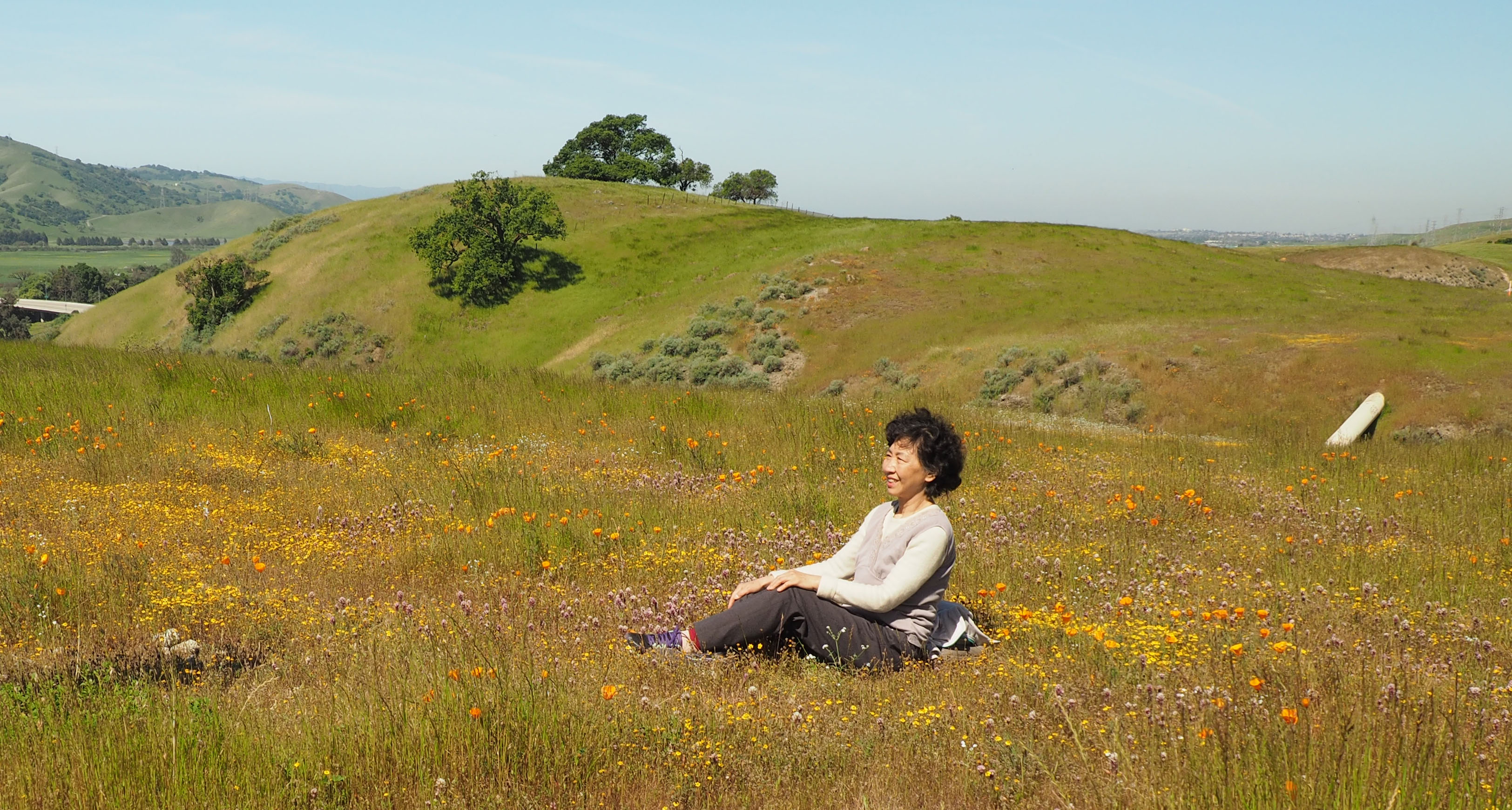 Smiling woman sitting in field of wildflowers, green hills in background