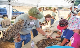 Man with owl on arm teaching children at wildlife festival