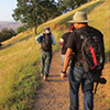 Three hikers on sunny trail