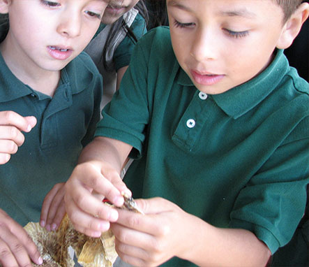 Two young students holding and examining a snake skin