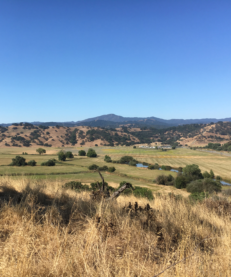 Image looking across Coyote Valley's green fields to mountains in distance