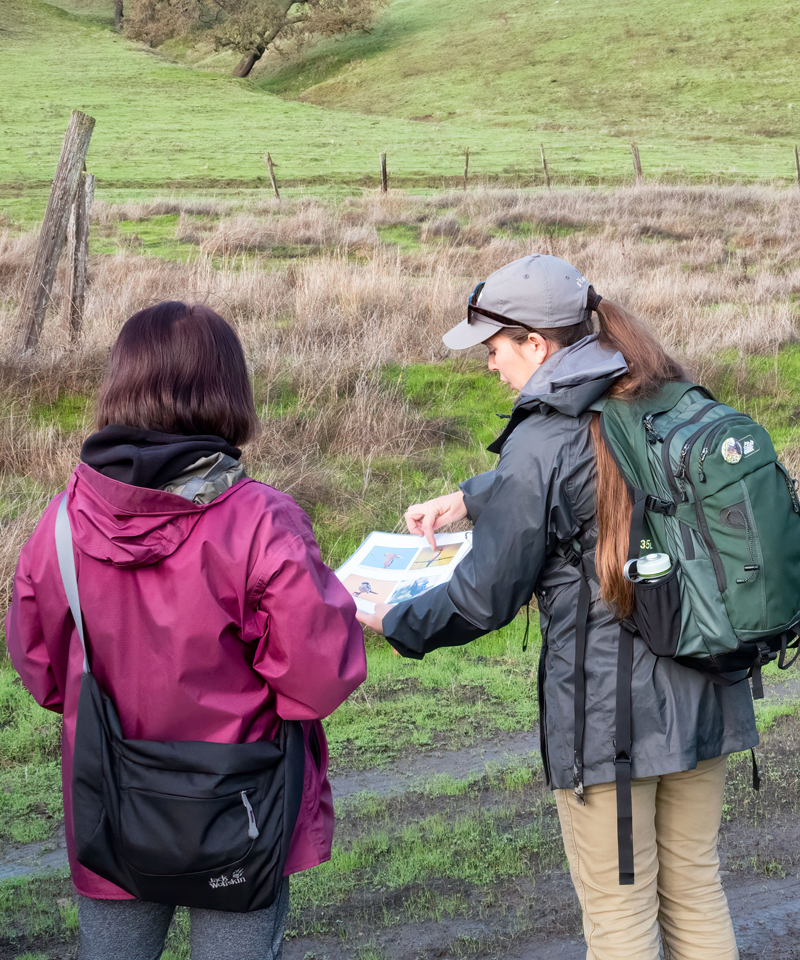 two people facing away from camera looking at bird identification book